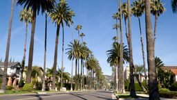 Encuentra vuelos baratos desde Panam&aacute; $[,, preposition:'to ']$[,, article:'to ']$[,, place:'to']