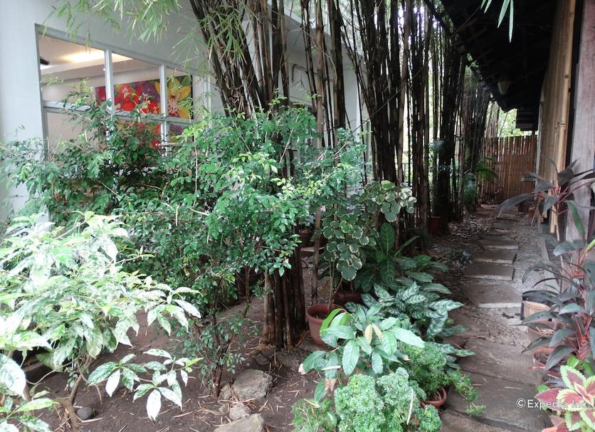 Vista del exterior Foto