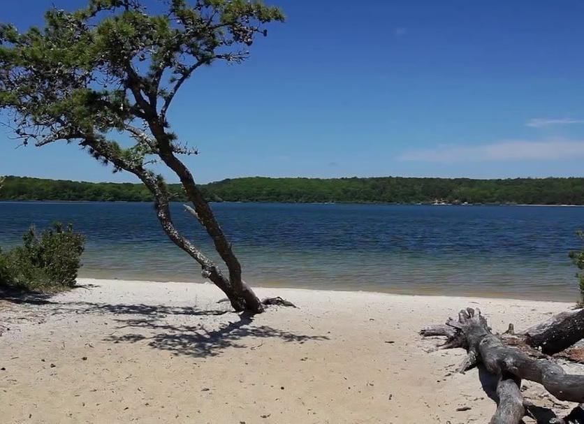 Playa Foto