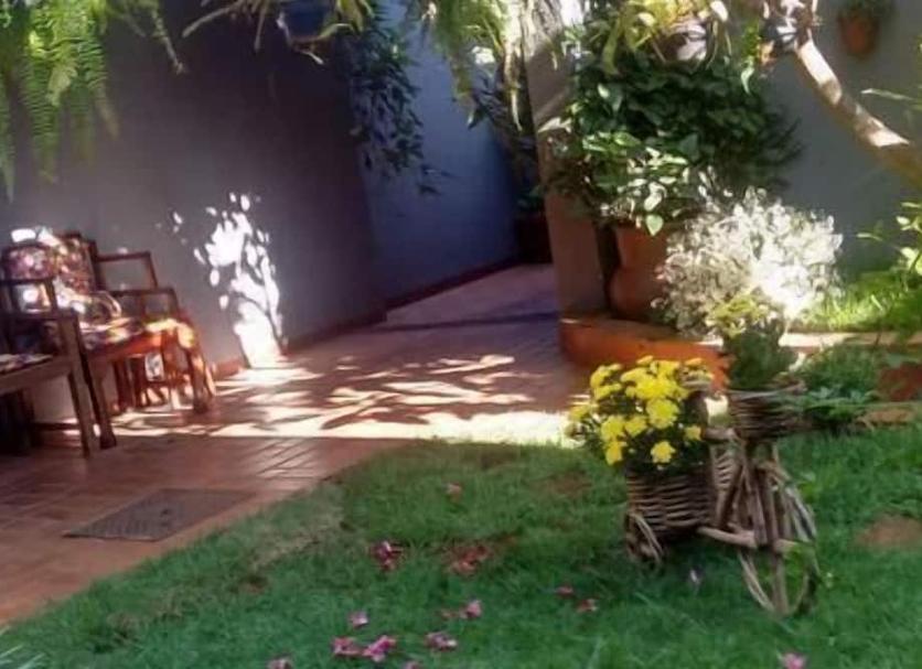 Otros Foto