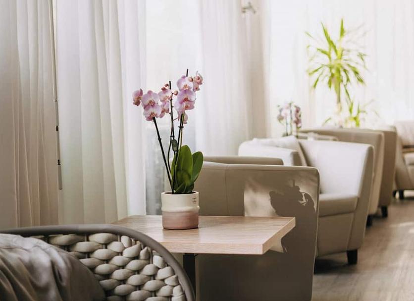 Servicio de la habitación Foto