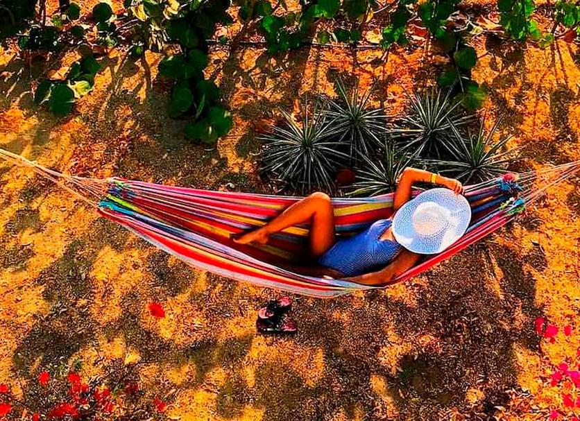 Otros Foto