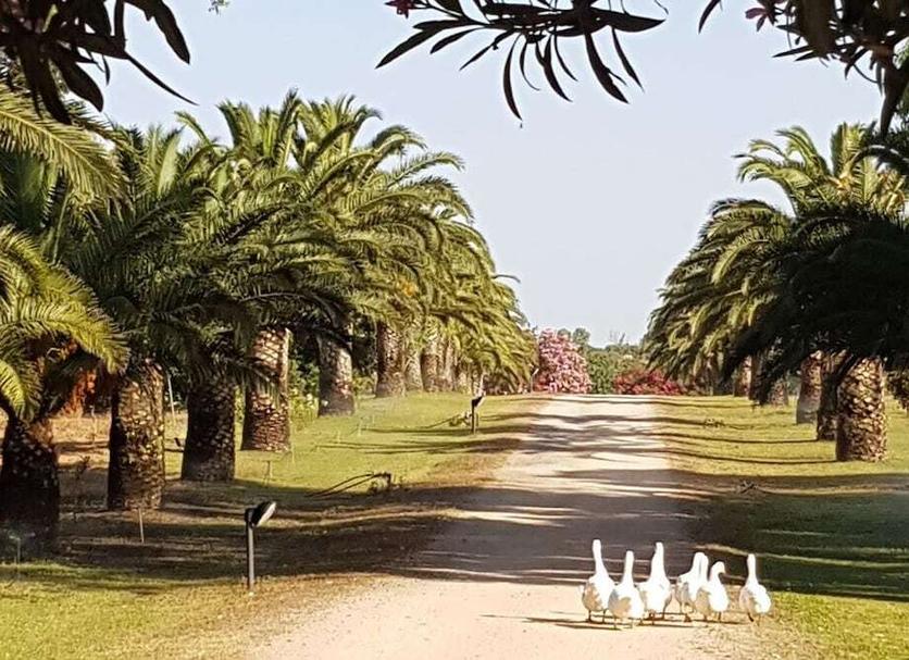 Vista del exterior Foto