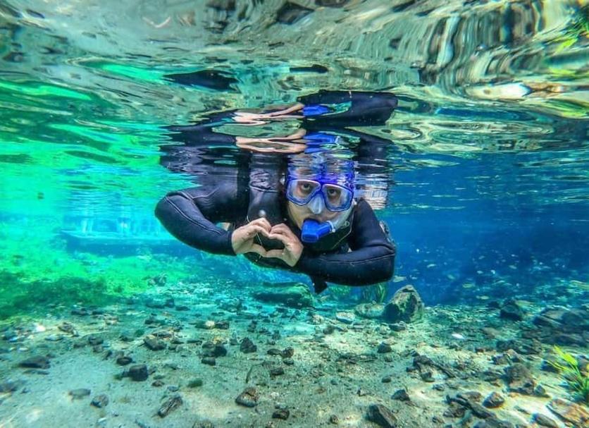 Otros Foto