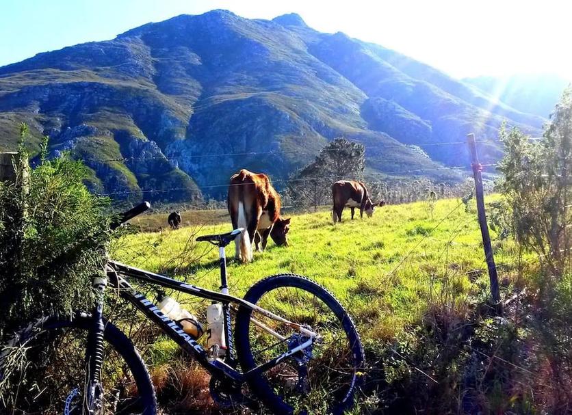 Otros Foto