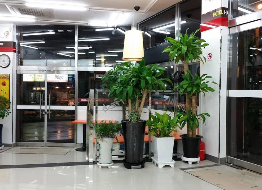 Lobby Foto