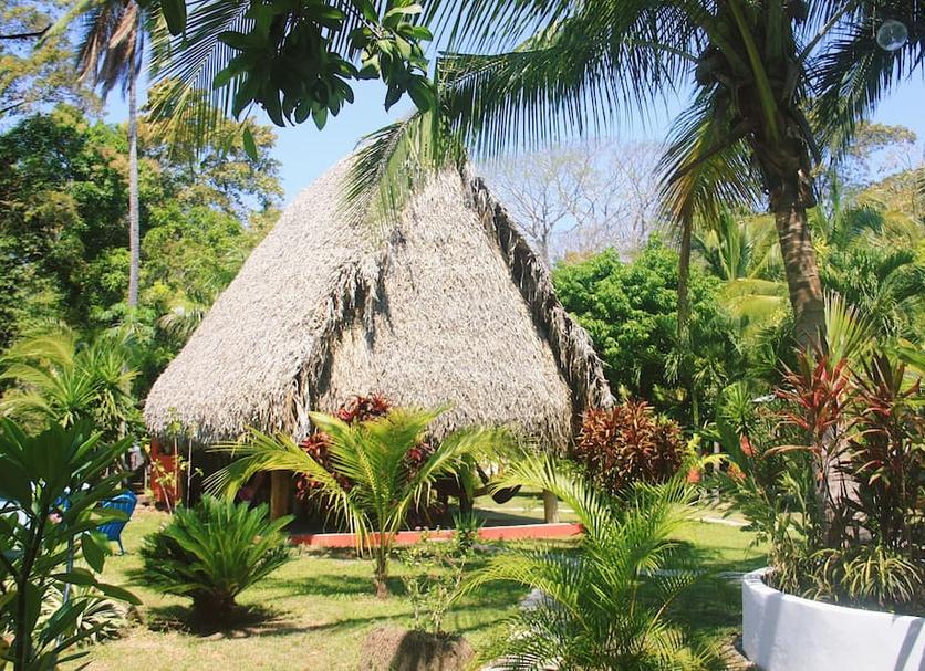 Vista del exterior Foto