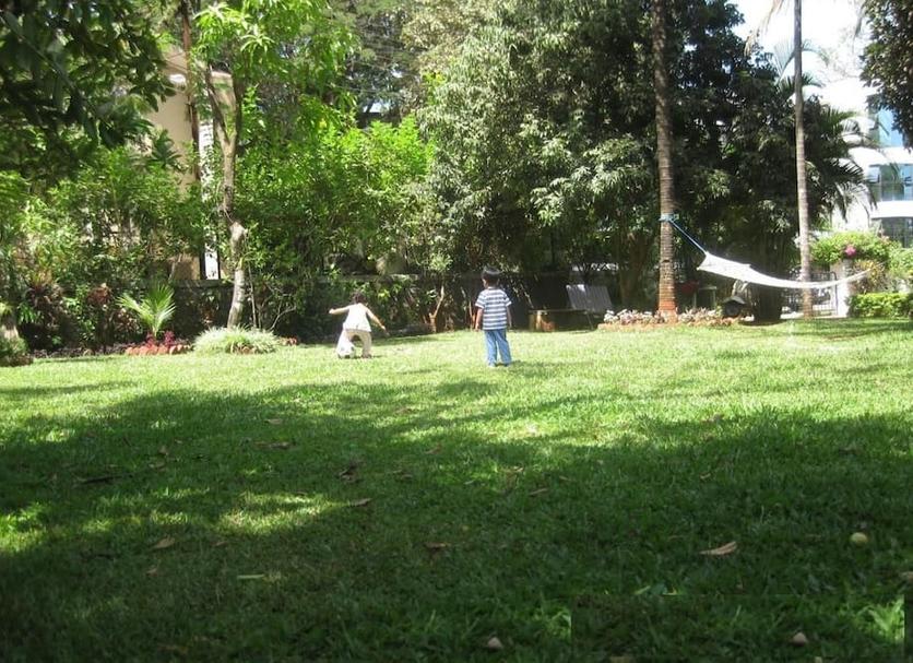 Otros Foto