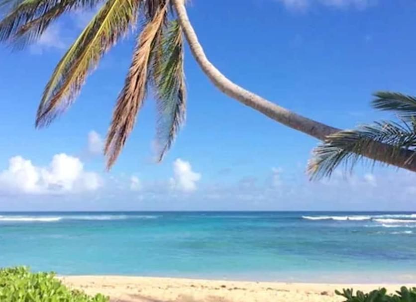 Playa Foto