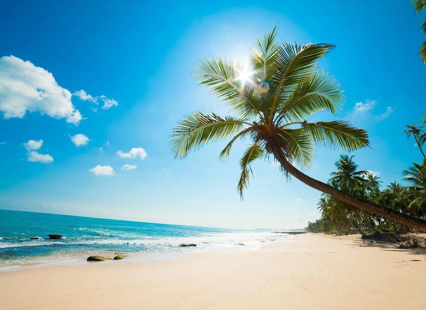 Playa Foto