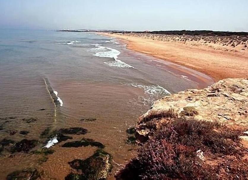 Playa Foto