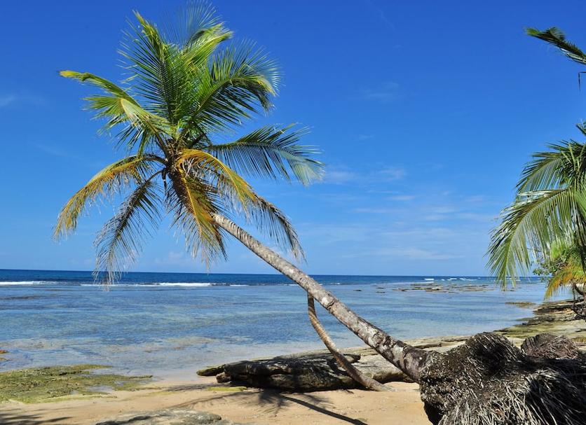 Playa Foto