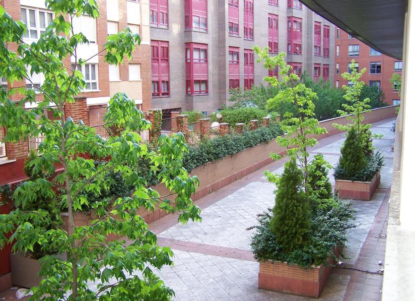 Vista del exterior Foto