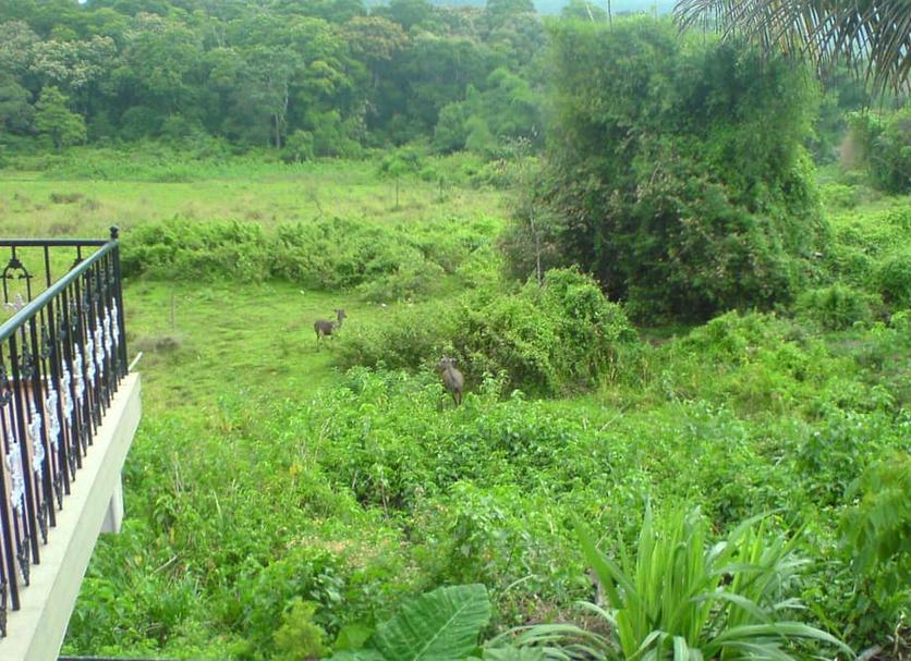 Vista del exterior Foto