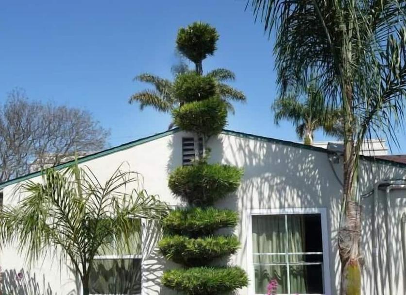 Vista del exterior Foto