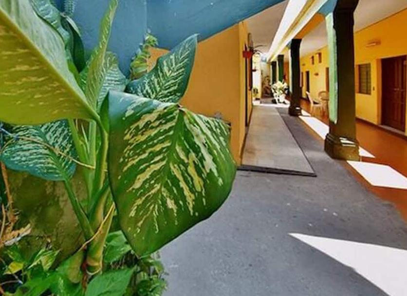 Vista del exterior Foto