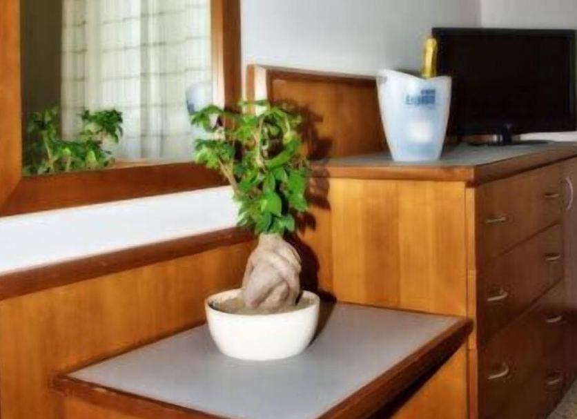 Servicio de la habitación Foto