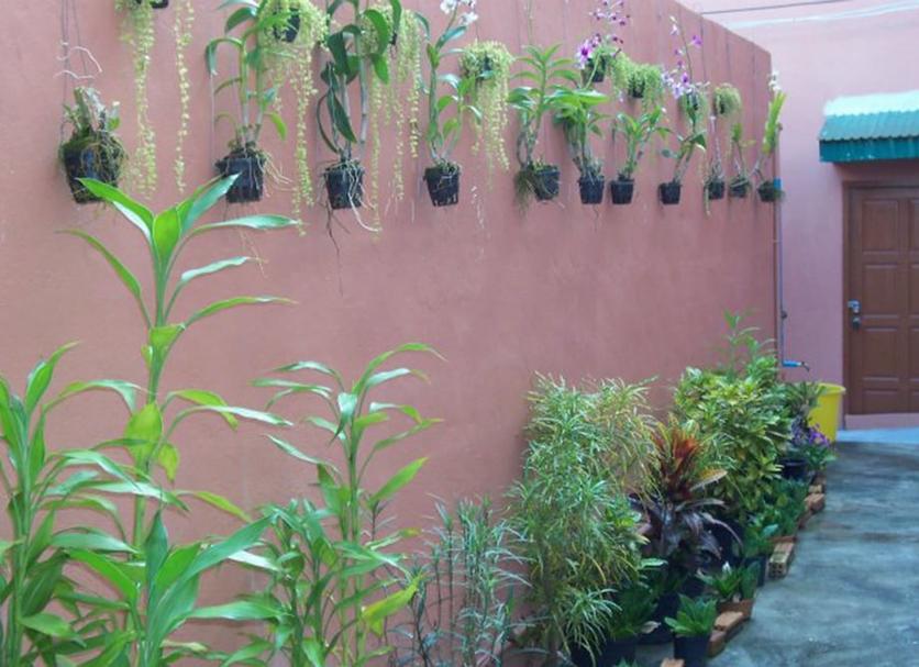 Vista del exterior Foto