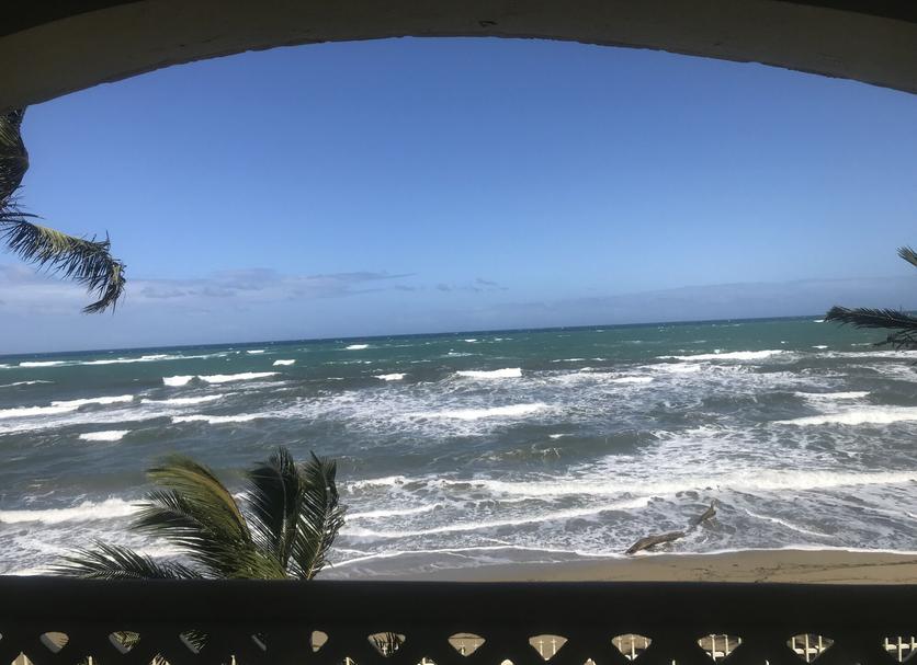 Otros Foto