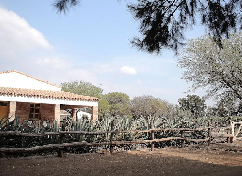 Vista del exterior Foto
