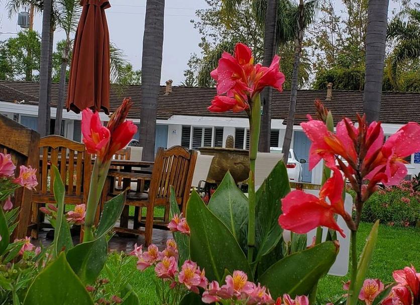 Patio Foto