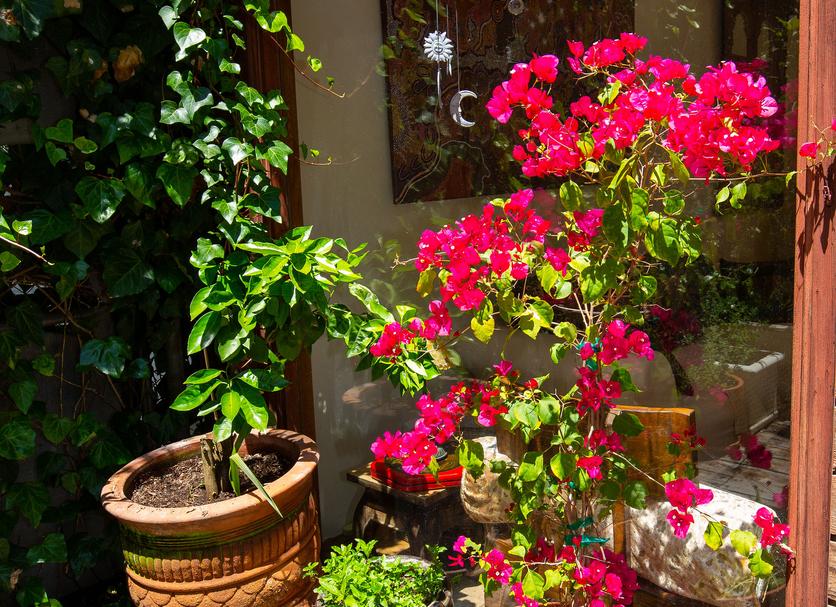 Patio Foto