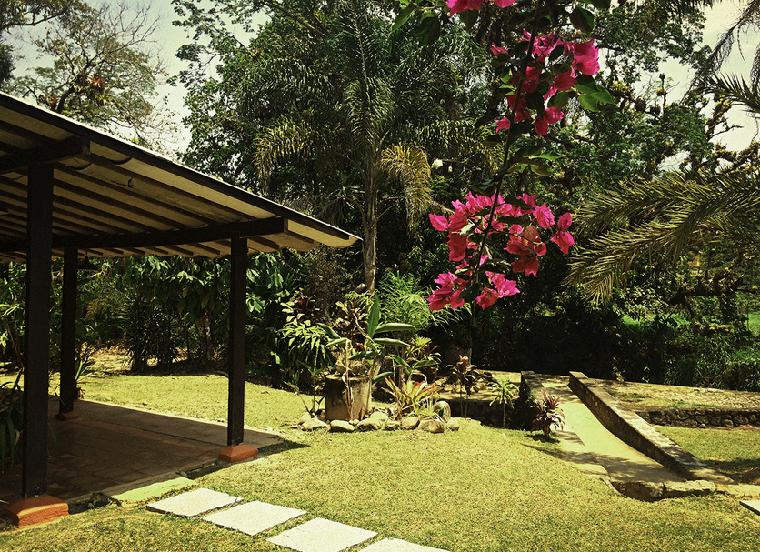 Vista del exterior Foto